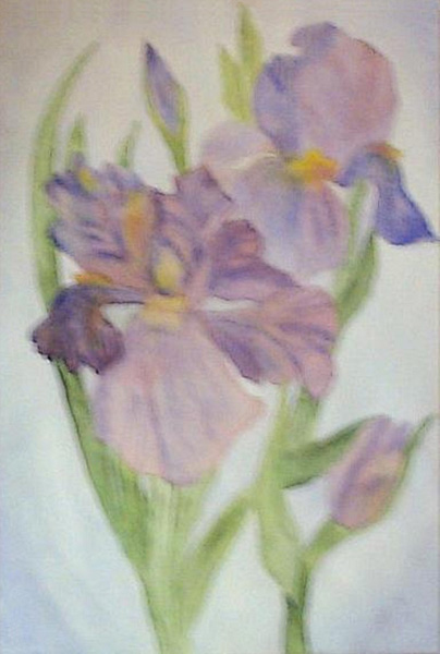 Purple_Irises